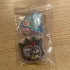 Sanrio サンリオ　パッケージチャーム　ハンギョドン　バツ丸　2個セット