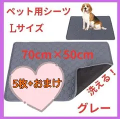 Item thumbnail for item c3a4218e-d443-45d1-8c04-fbdc1f64835c