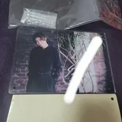 Item thumbnail for item ac03bf28-7001-420d-bcc8-14ffbafddd67