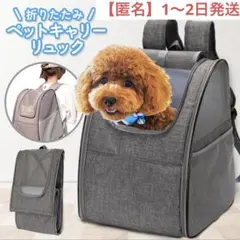 ペットリュック 折りたたみ可能 ペットキャリーバッグ 防災 散歩 グレー