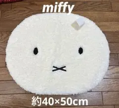 Item thumbnail for item 147caadf-c990-4cd0-97d1-c59b2de44459