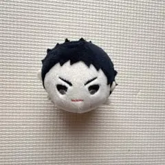 ハイキュー　もちマス　岩泉一