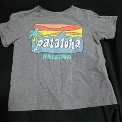 patagoniaハワイ　　2Tサイズ