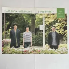 向井理　片桐はいり　雑誌　切り抜き