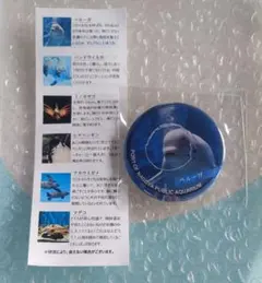 名古屋港水族館 水族館deクルッと寄付 返礼品 缶バッジ ベルーガ ②