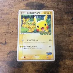 ポケパークのピカチュウ PROMO PCG-Pプロモカード 043/PCG-P - メルカリ