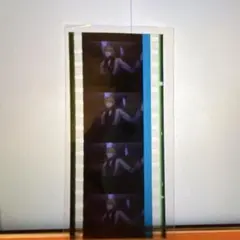 ヒプマイ　ヒプムビ　来場者特典　コマフィルム　一二三　伊弉冉一二三