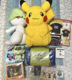 ピカピカボックス 2026 ポケモンセンター 福袋