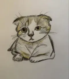 手書き 猫 絵