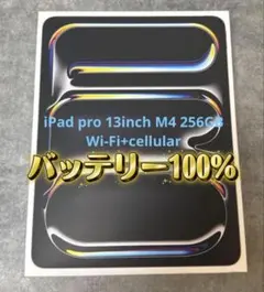 バッテリー100% Apple iPad Pro 13インチ M4 256GB - メルカリ