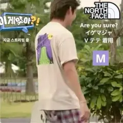 BTS V 着用 イゲマジャ Tシャツ ノースフェイス テテ ソンミンス M
