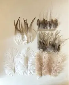 羽根　いろいろ　セット