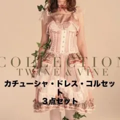 カチューシャ・ドレス・コルセット3点セット【旧MRコルセット】 2026年最新】mrcorsetの人気アイテム - メルカリ