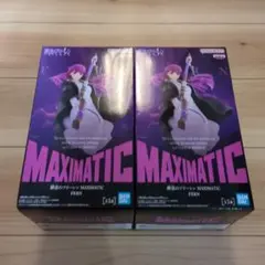 葬送のフリーレン フィギュア MAXIMATIC フェルン