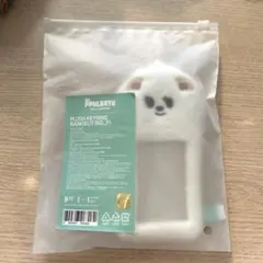 TXT PPULBATU プルバトゥ トレカケース バムグッ ボムギュ