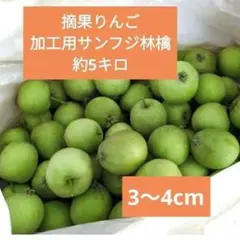 摘果りんご　加工用サンふじ林檎　約5キロ 送料込み　2のサムネイル
