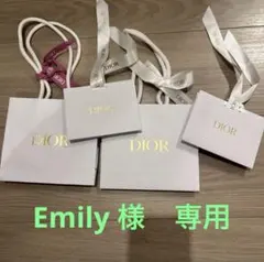 DIOR ショップ袋 4枚セット　【Emily 様専用】