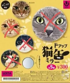 AYaNo様専用ページ