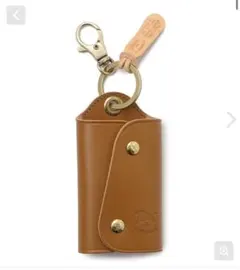 イルビゾンテ　キーケース