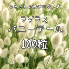 チビタ様 リクエスト 2点 まとめ商品