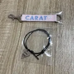 SEVENTEEN FC CARAT 入会 継続 更新 特典
