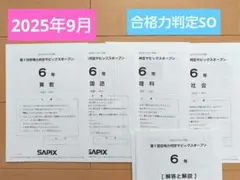 スミレ様 リクエスト 2点 まとめ商品