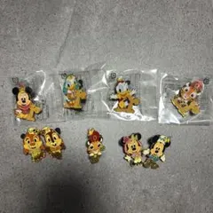ピーチ様専用　ディズニー　アラビアンコースト　ピンバッジ 9個セット