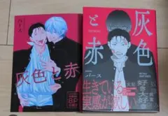 BL※即購入不可