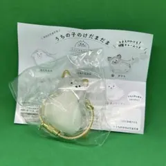 正規品　うちの子のけだまだま 柴犬