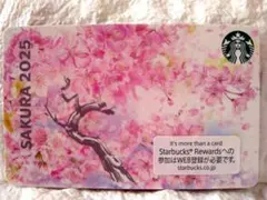 スターバックス✿SAKURA✿STARBUCKS✿スタバカード✿カードケース付き