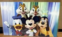 ディズニー　ポストカード