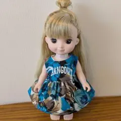 Item thumbnail for item a7b4caba-f94b-42e3-80a1-1e040b632e6a