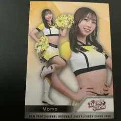 Momo　BBM　トレーディングカード　2025