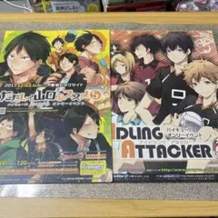 ハイキュー!! オンリーイベントフライヤー