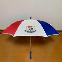 Jリーグ yokohama サッカー Marinos 観戦グッズ 勝利の儀式