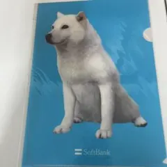 SoftBank 白い犬 A4クリアファイル