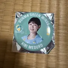 2025年最新】群馬グリーンウイングスの人気アイテム - メルカリ