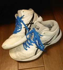asics GELHOOP バスケットボールシューズ ホワイト - メルカリ