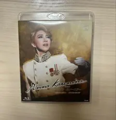 Item thumbnail for item 561c3124-5e12-4248-9120-cbb0c3839e0e