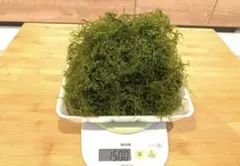 Phoo★プロフ必読お願いします様 リクエスト 2点 まとめ商品