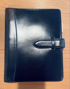 Item thumbnail for item 1836c31f-234c-4f2e-9797-9f23bb5ba9a9