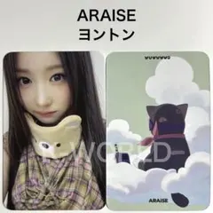 SAYMYNAME ShaLala ARAISE ヨントン メイ