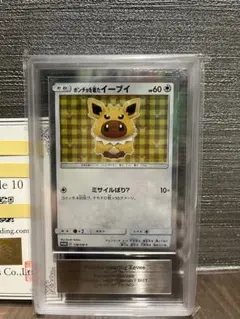 ポンチョを着たイーブイ　サンダース　PSA10 PSA10鑑定済】 ポンチョを着たイーブイ(TD)【P】{138/SM-P