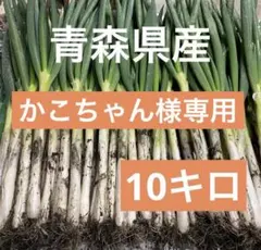 かこちゃん様専用　10キロ