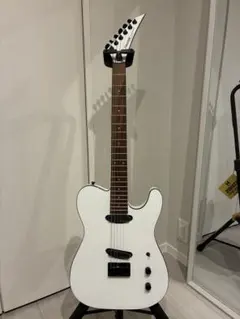 FERNANDES TEJ-STD 2S SW TEJシリーズ フェルナンデスのサムネイル