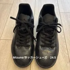 さぼ様専用　Mizuno MONARCIDA NEO