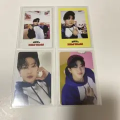 199 straykids シーグリ チャンビン 2023