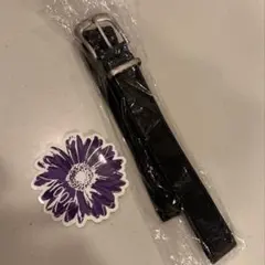 Item thumbnail for item 7153e47d-0a0c-4715-9b1c-6e0b06ea86a4