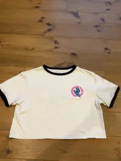 Santa Cruz Screaming Hand Tシャツのサムネイル