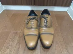 REGAL Worth collection V104 26.0cm